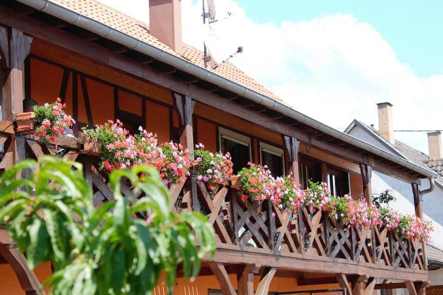 Chambres d'Hôtes Arnold Dambach Exterior foto
