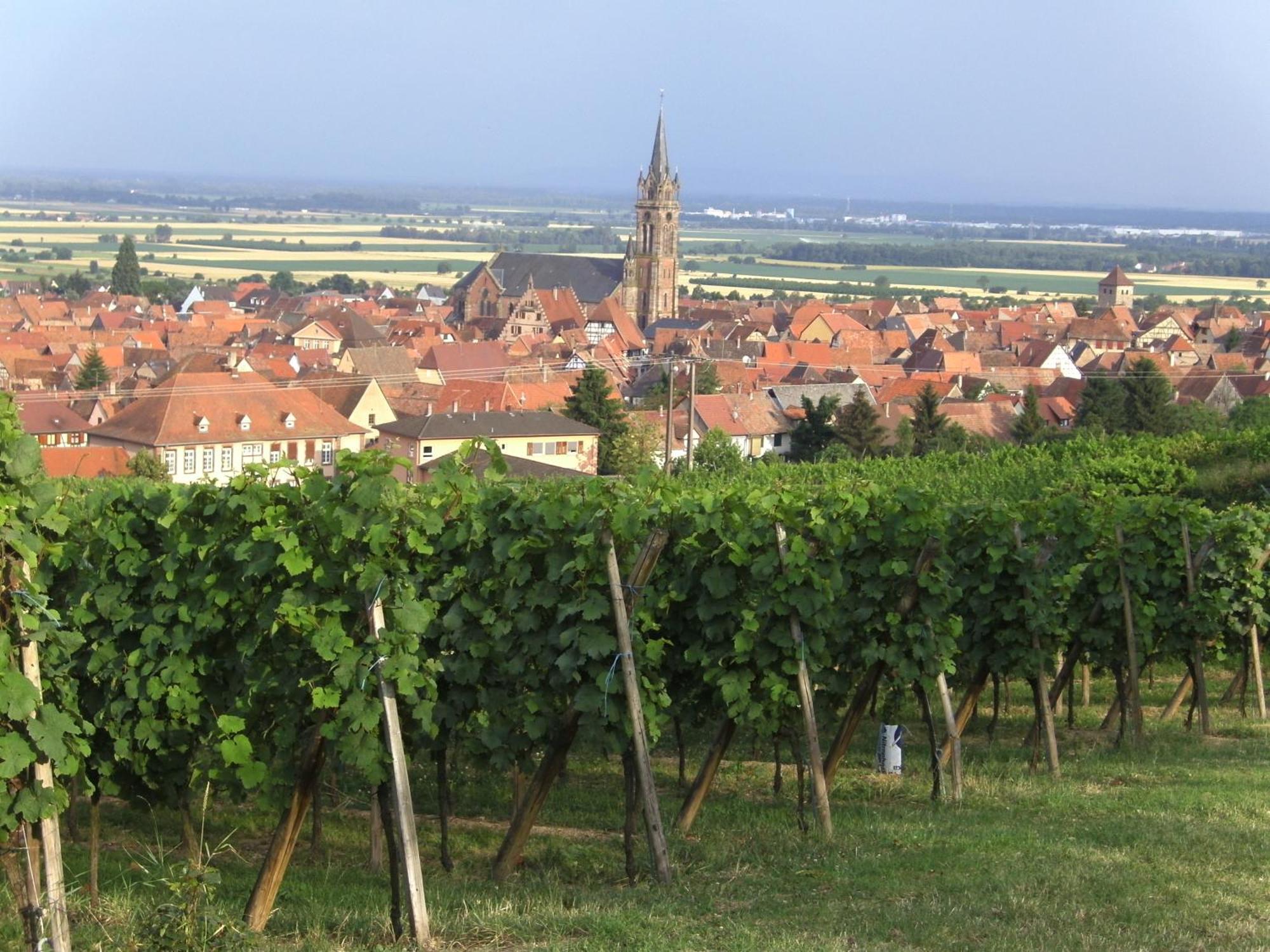 Chambres d'Hôtes Arnold Dambach Exterior foto
